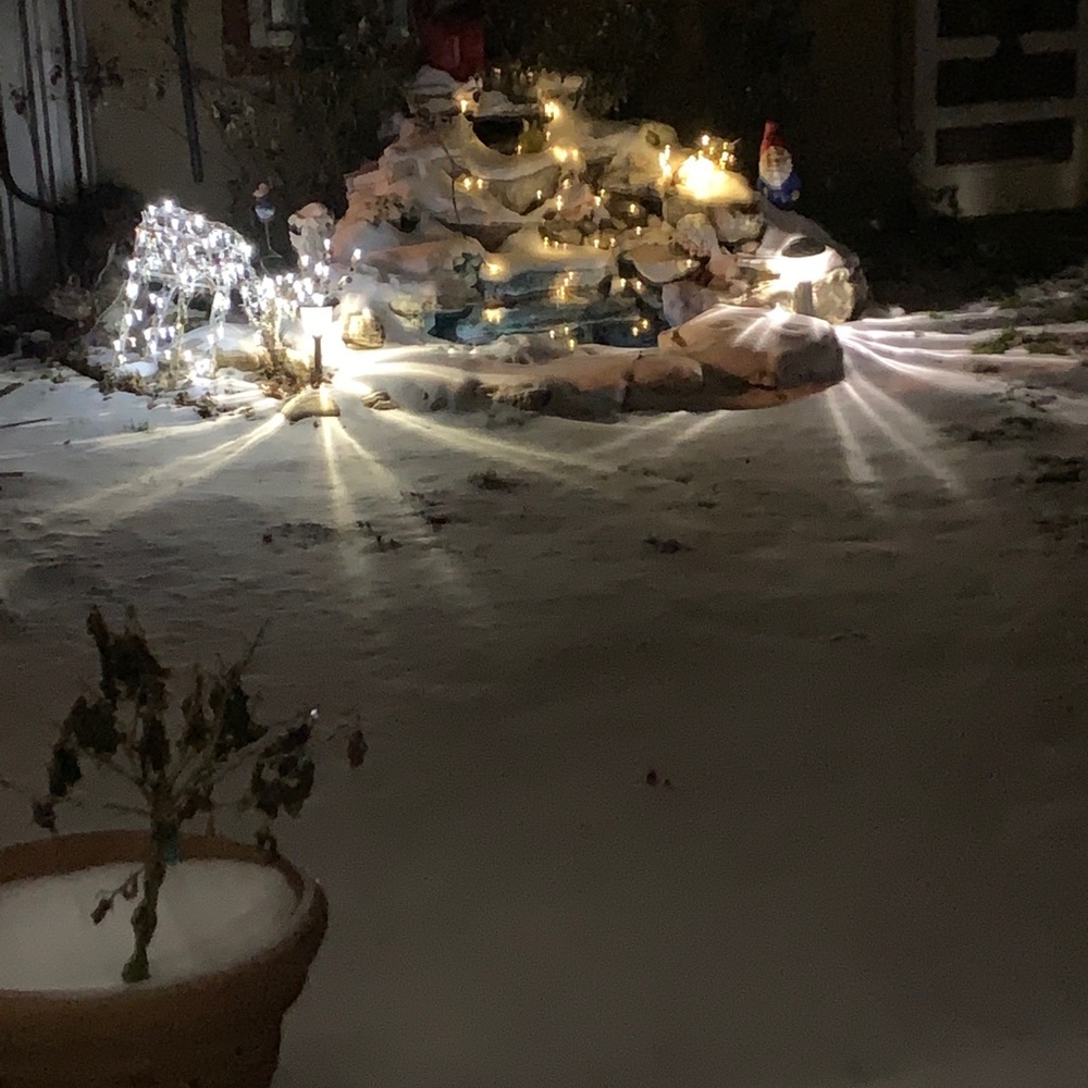 Meet your Posher, Dana